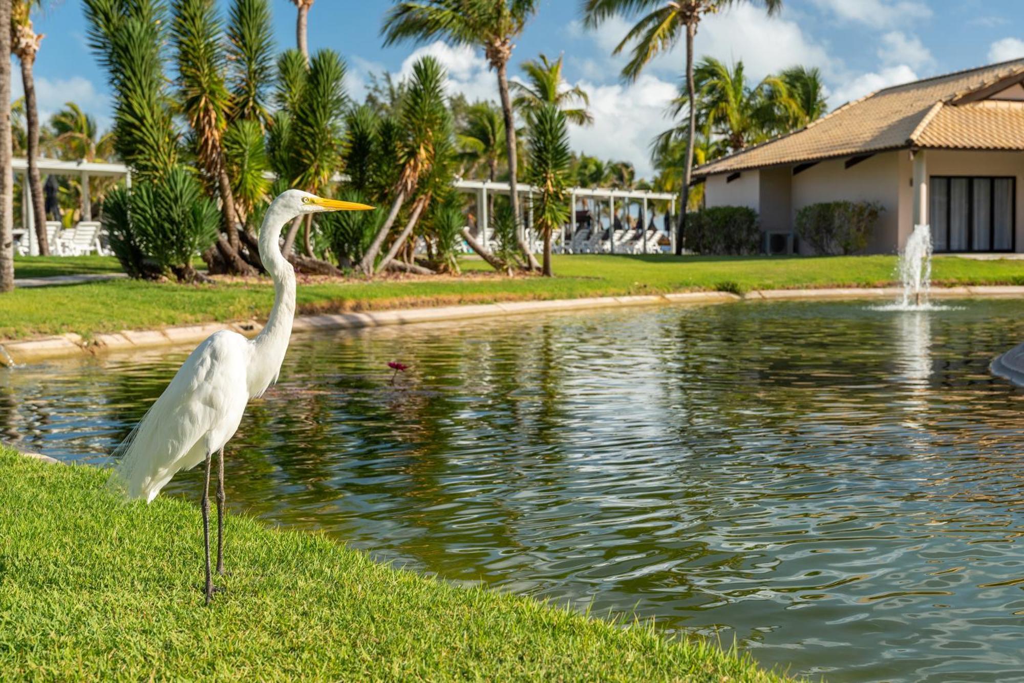 Vila Gale Resort Cumbuco Caucaia Ngoại thất bức ảnh